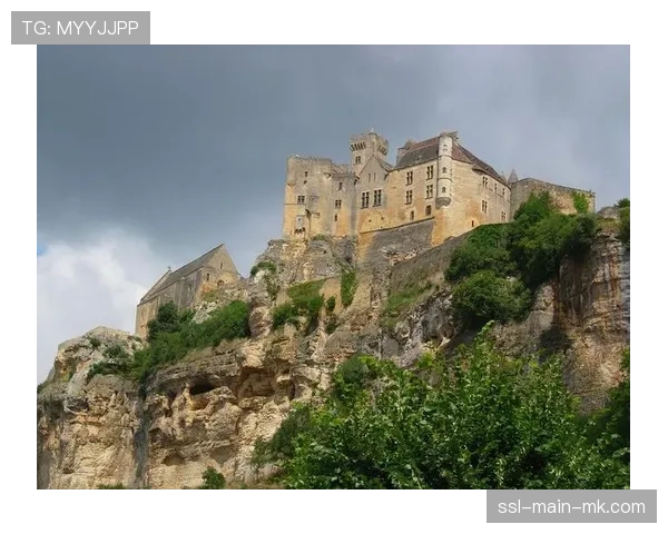 法国警方宣布成功打掉一个位于马赛的跨国足球赌球团伙 法国警方宣布成功打掉一个位于马赛的跨国足球赌球团伙